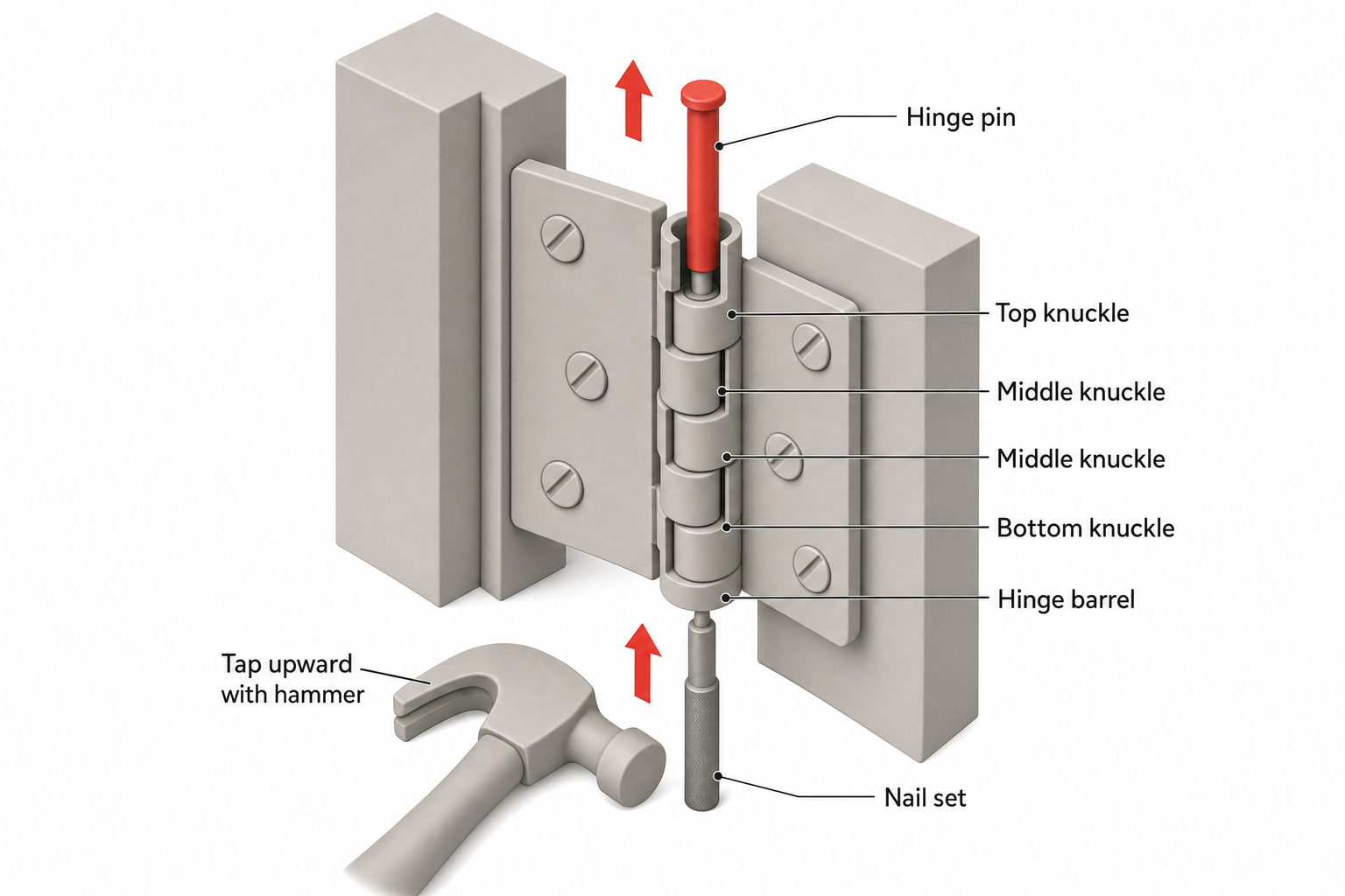 close-up cutaway diagram of a standard door hinge showing the pin partially withdrawn upward out of the barrel, with the knuckle segments labeled and a small arrow showing the direction of tapping with a hammer and nail set from below