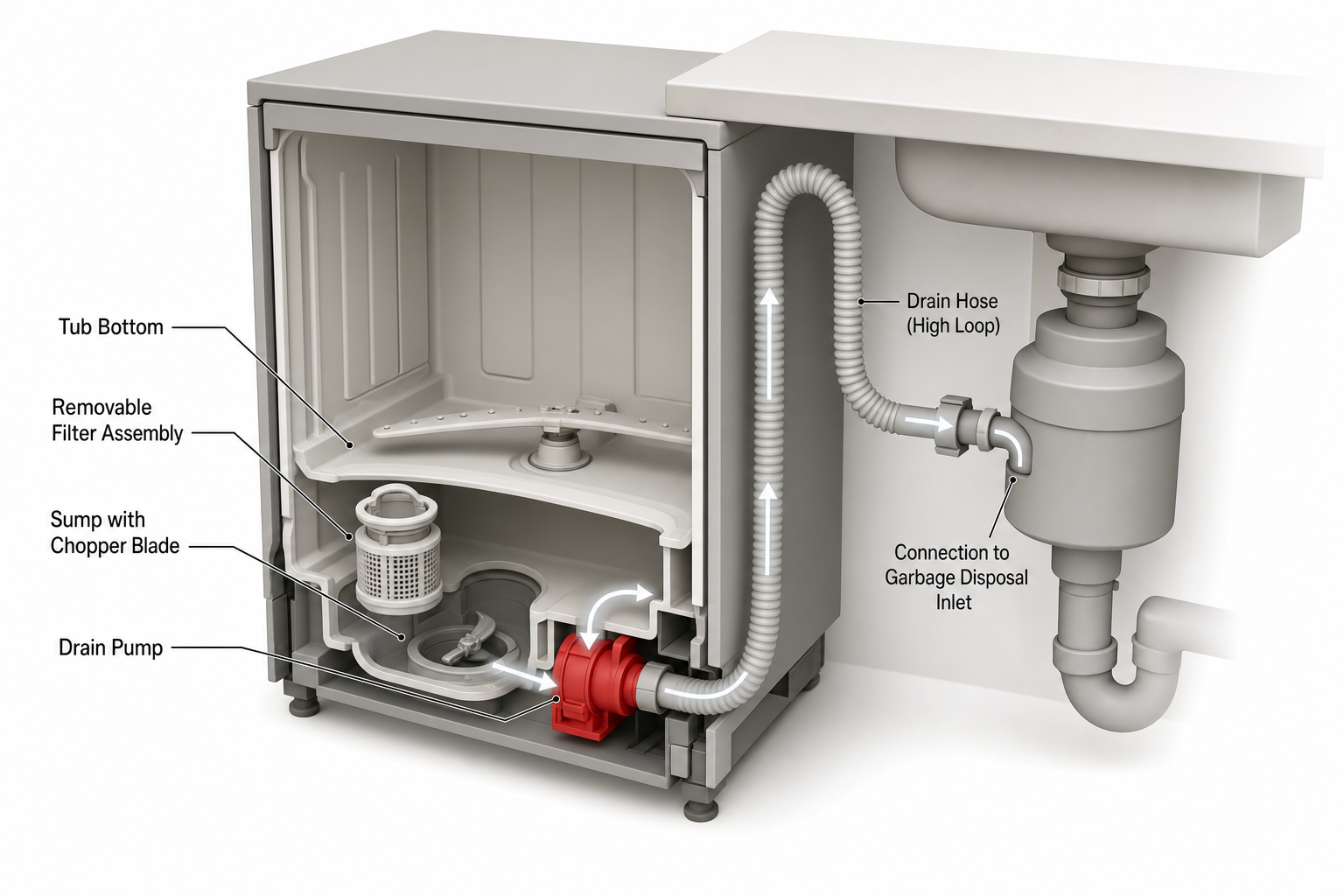 cutaway side-view diagram of a dishwasher showing the tub bottom, removable cylindrical filter assembly, sump with chopper blade, drain pump, corrugated drain hose looping up under the counter, and connection to a garbage disposal inlet, with arrows showing water flow direction during drain cycle